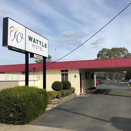 Wattle Motel 시모어 외부 사진